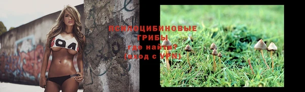 эйфоретик Баксан