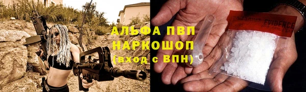 эйфоретик Баксан