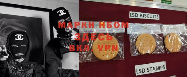 эйфоретик Баксан
